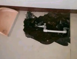 大新卫生间测漏水多少钱